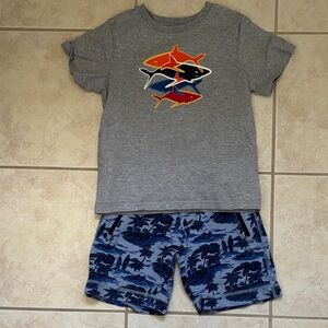 Hanna Andersson Gray Tee and Blue Shorts Set